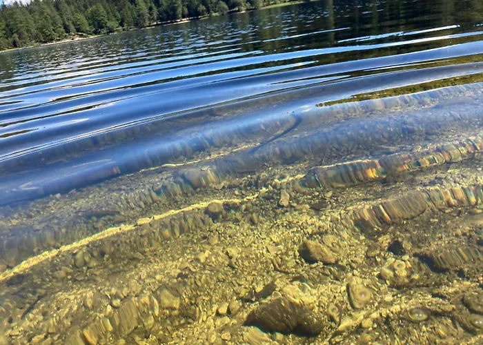 Haus Kampl - Oedensee Apartment